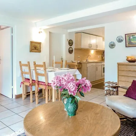 Apartment Awesome In With Wifi Nusbaum