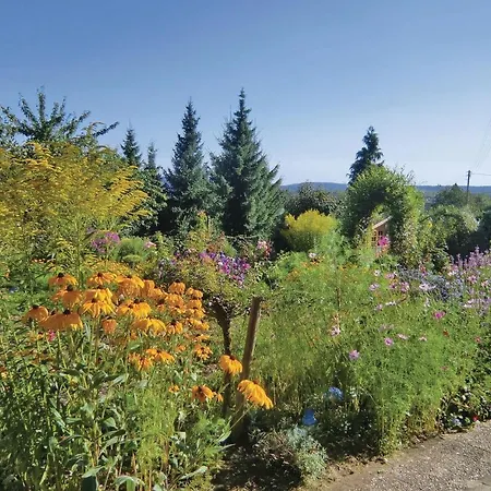 Apartment Awesome In With Wifi Nusbaum