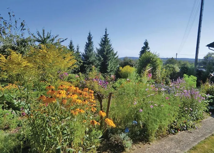 Apartamento Awesome In With Wifi Nusbaum